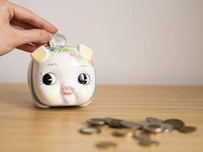 Want to track your expense and grow wealth?